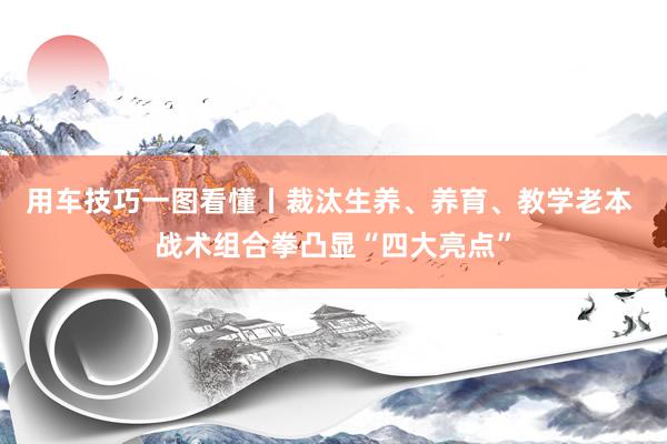 用车技巧一图看懂丨裁汰生养、养育、教学老本 战术组合拳凸显“四大亮点”