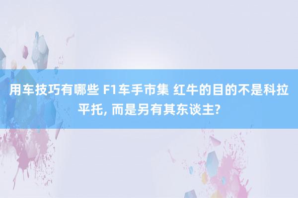 用车技巧有哪些 F1车手市集 红牛的目的不是科拉平托, 而是另有其东谈主?