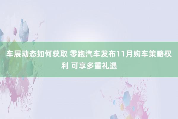 车展动态如何获取 零跑汽车发布11月购车策略权利 可享多重礼遇