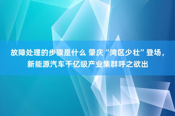 故障处理的步骤是什么 肇庆“湾区少壮”登场，新能源汽车千亿级产业集群呼之欲出