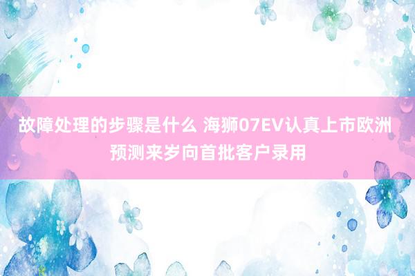 故障处理的步骤是什么 海狮07EV认真上市欧洲 预测来岁向首批客户录用