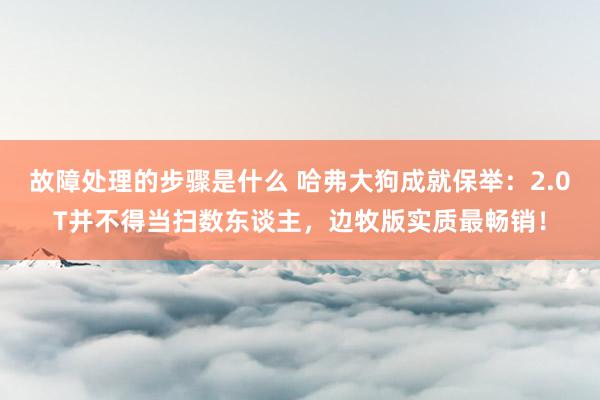 故障处理的步骤是什么 哈弗大狗成就保举：2.0T并不得当扫数东谈主，边牧版实质最畅销！