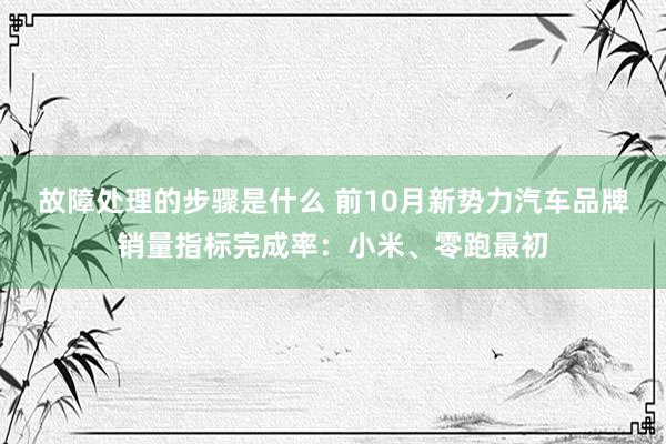 故障处理的步骤是什么 前10月新势力汽车品牌销量指标完成率：小米、零跑最初