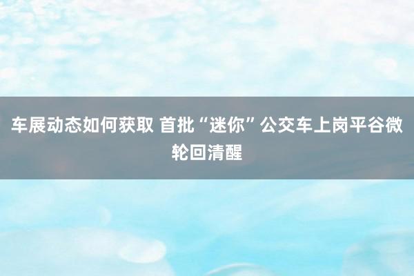 车展动态如何获取 首批“迷你”公交车上岗平谷微轮回清醒