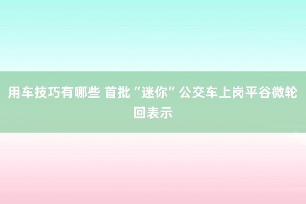 用车技巧有哪些 首批“迷你”公交车上岗平谷微轮回表示