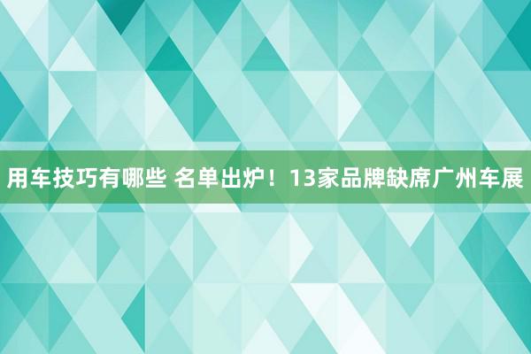 用车技巧有哪些 名单出炉！13家品牌缺席广州车展