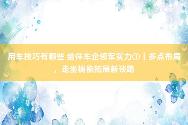 用车技巧有哪些 结伴车企领军实力①｜多点布局，走坐褥能拓展新谈路