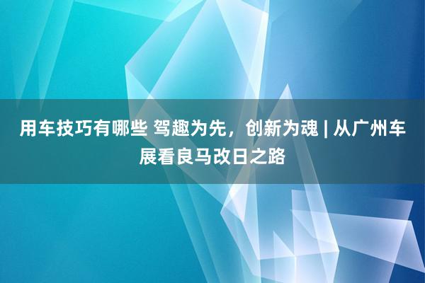 用车技巧有哪些 驾趣为先，创新为魂 | 从广州车展看良马改日之路