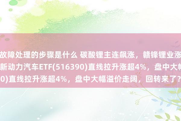 故障处理的步骤是什么 碳酸锂主连飙涨，赣锋锂业涨停、宁德期间涨3%，新动力汽车ETF(516390)直线拉升涨超4%，盘中大幅溢价走阔，回转来了？