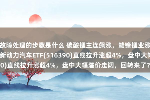 故障处理的步骤是什么 碳酸锂主连飙涨，赣锋锂业涨停、宁德时间涨3%，新动力汽车ETF(516390)直线拉升涨超4%，盘中大幅溢价走阔，回转来了？