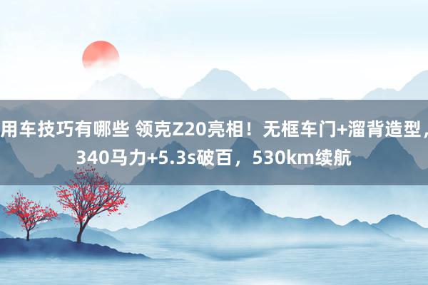 用车技巧有哪些 领克Z20亮相！无框车门+溜背造型，340马力+5.3s破百，530km续航