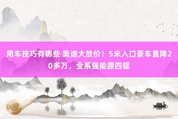 用车技巧有哪些 奥迪大放价！5米入口豪车直降20多万，全系强能源四驱