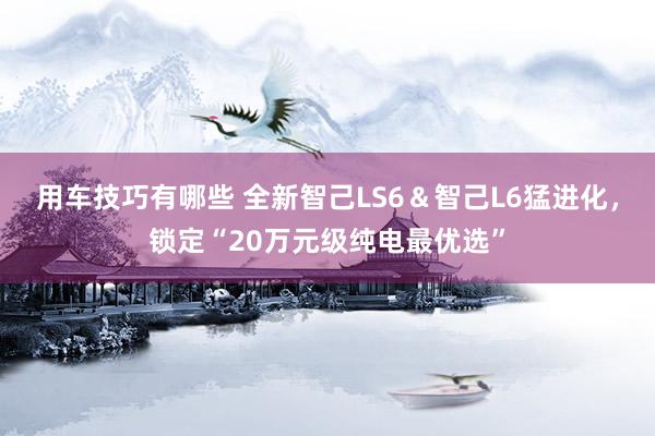 用车技巧有哪些 全新智己LS6＆智己L6猛进化，锁定“20万元级纯电最优选”