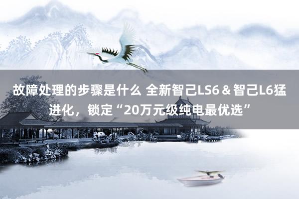 故障处理的步骤是什么 全新智己LS6＆智己L6猛进化，锁定“20万元级纯电最优选”