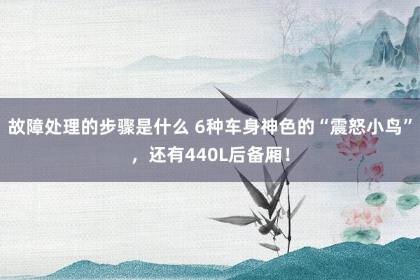 故障处理的步骤是什么 6种车身神色的“震怒小鸟”，还有440L后备厢！