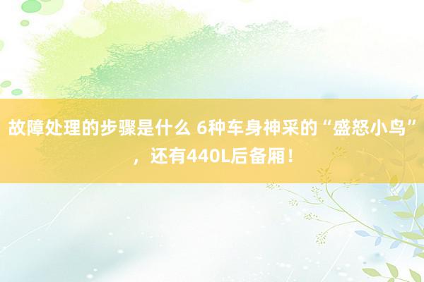 故障处理的步骤是什么 6种车身神采的“盛怒小鸟”，还有440L后备厢！