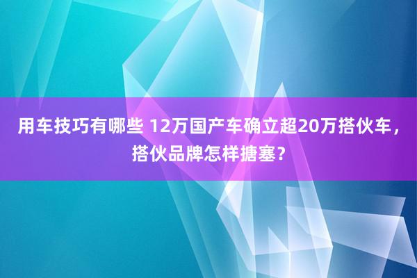 用车技巧有哪些 12万国产车确立超20万搭伙车，搭伙品牌怎样搪塞？