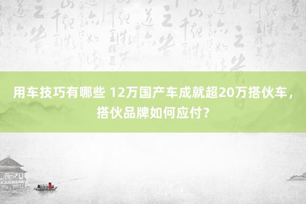 用车技巧有哪些 12万国产车成就超20万搭伙车，搭伙品牌如何应付？