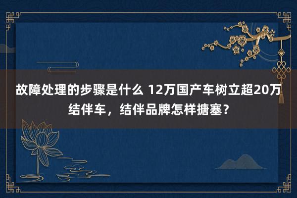 故障处理的步骤是什么 12万国产车树立超20万结伴车，结伴品牌怎样搪塞？