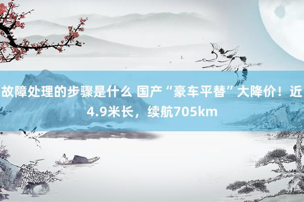 故障处理的步骤是什么 国产“豪车平替”大降价！近4.9米长，续航705km