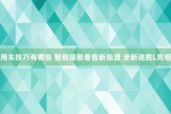 用车技巧有哪些 智能座舱看皆新能源 全新途胜L亮相