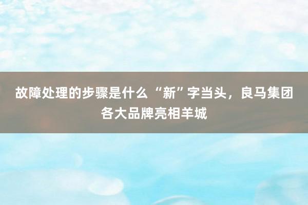 故障处理的步骤是什么 “新”字当头，良马集团各大品牌亮相羊城