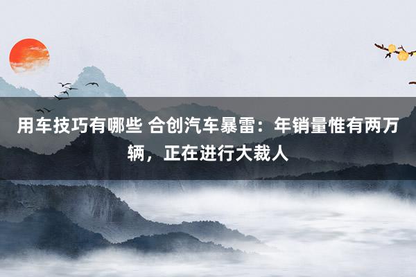 用车技巧有哪些 合创汽车暴雷：年销量惟有两万辆，正在进行大裁人