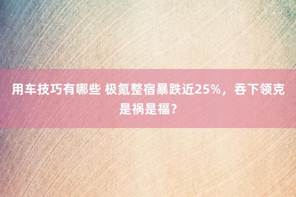 用车技巧有哪些 极氪整宿暴跌近25%，吞下领克是祸是福？