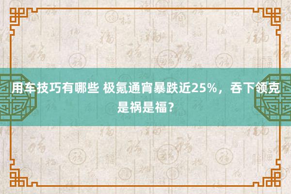 用车技巧有哪些 极氪通宵暴跌近25%，吞下领克是祸是福？