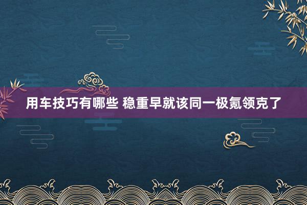 用车技巧有哪些 稳重早就该同一极氪领克了