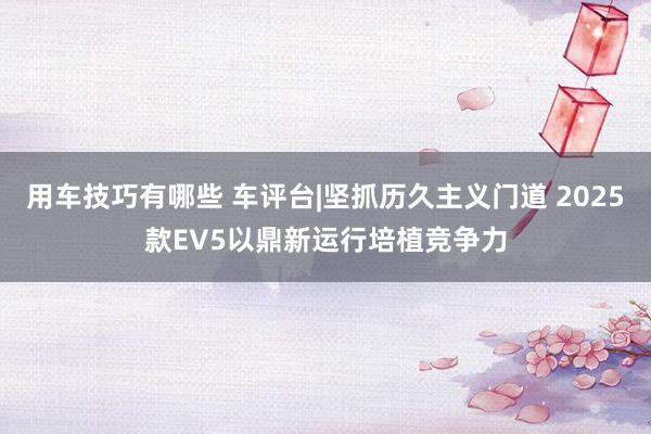 用车技巧有哪些 车评台|坚抓历久主义门道 2025款EV5以鼎新运行培植竞争力