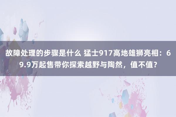 故障处理的步骤是什么 猛士917高地雄狮亮相：69.9万起售带你探索越野与陶然，值不值？