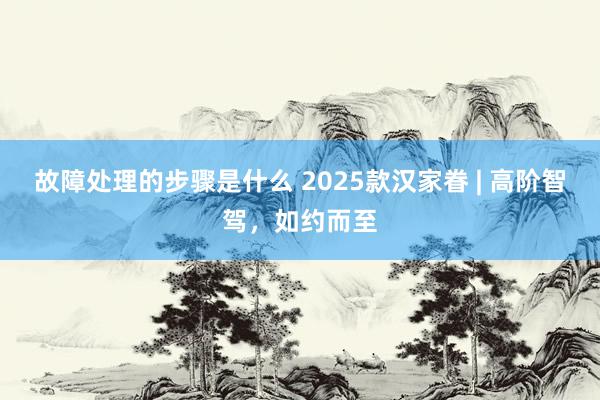 故障处理的步骤是什么 2025款汉家眷 | 高阶智驾，如约而至