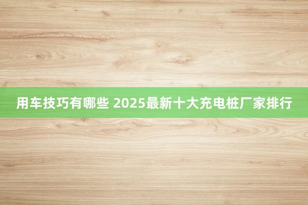 用车技巧有哪些 2025最新十大充电桩厂家排行