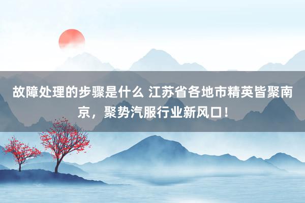 故障处理的步骤是什么 江苏省各地市精英皆聚南京，聚势汽服行业新风口！