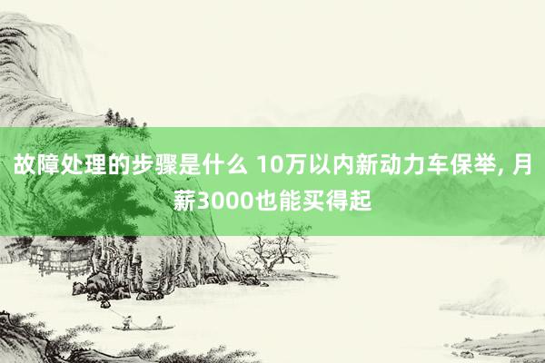 故障处理的步骤是什么 10万以内新动力车保举, 月薪3000也能买得起