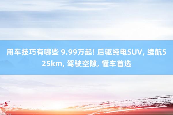 用车技巧有哪些 9.99万起! 后驱纯电SUV, 续航525km, 驾驶空隙, 懂车首选