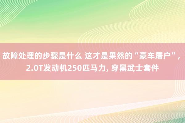 故障处理的步骤是什么 这才是果然的“豪车屠户”, 2.0T发动机250匹马力, 穿黑武士套件