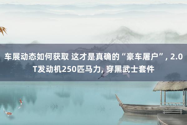 车展动态如何获取 这才是真确的“豪车屠户”, 2.0T发动机250匹马力, 穿黑武士套件