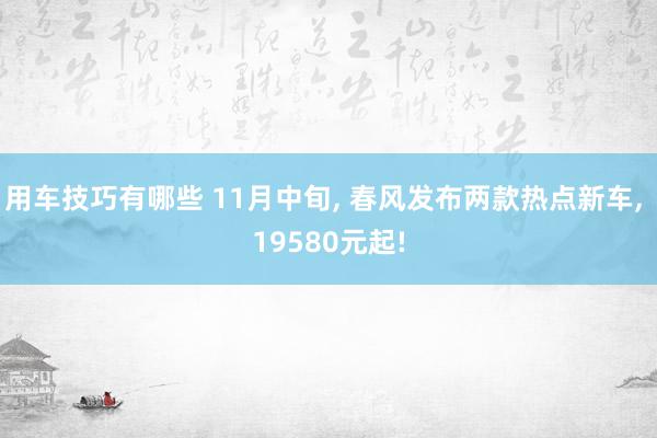 用车技巧有哪些 11月中旬, 春风发布两款热点新车, 19580元起!