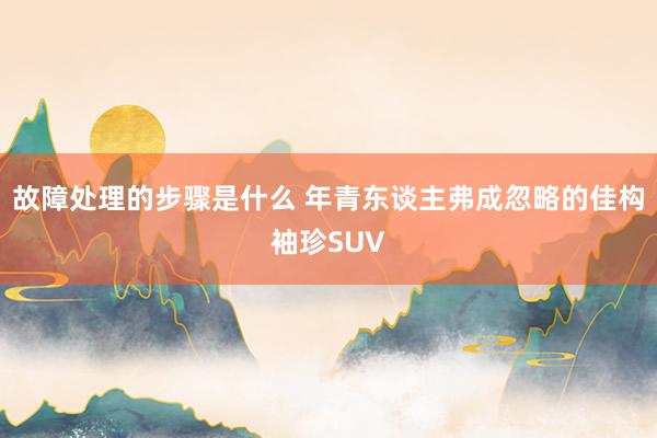 故障处理的步骤是什么 年青东谈主弗成忽略的佳构袖珍SUV