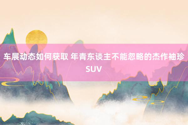 车展动态如何获取 年青东谈主不能忽略的杰作袖珍SUV