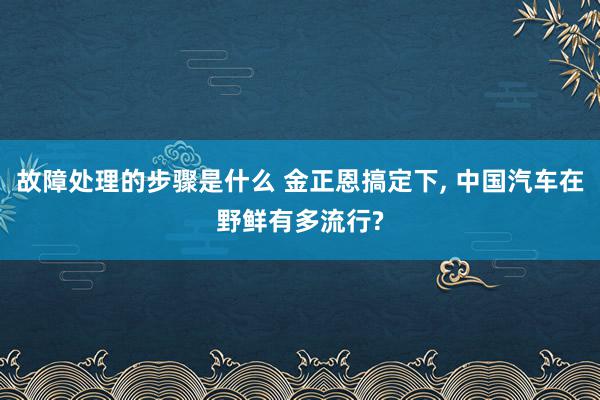 故障处理的步骤是什么 金正恩搞定下, 中国汽车在野鲜有多流行?