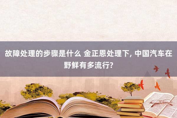 故障处理的步骤是什么 金正恩处理下, 中国汽车在野鲜有多流行?