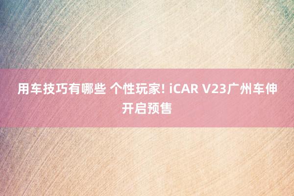 用车技巧有哪些 个性玩家! iCAR V23广州车伸开启预售