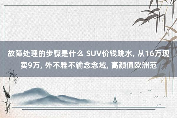 故障处理的步骤是什么 SUV价钱跳水, 从16万现卖9万, 外不雅不输念念域, 高颜值欧洲范