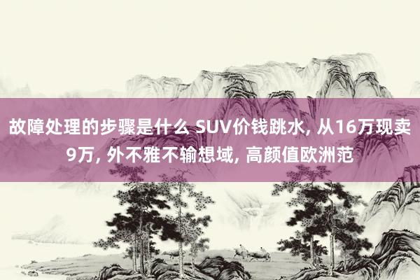 故障处理的步骤是什么 SUV价钱跳水, 从16万现卖9万, 外不雅不输想域, 高颜值欧洲范