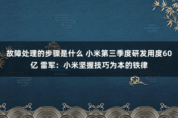 故障处理的步骤是什么 小米第三季度研发用度60亿 雷军：小米坚握技巧为本的铁律