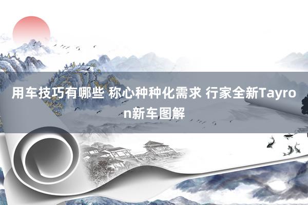 用车技巧有哪些 称心种种化需求 行家全新Tayron新车图解