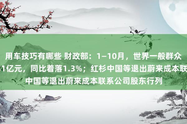 用车技巧有哪些 财政部：1—10月，世界一般群众预算收入184981亿元，同比着落1.3%；红杉中国等退出蔚来成本联系公司股东行列